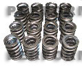 Valve Springs